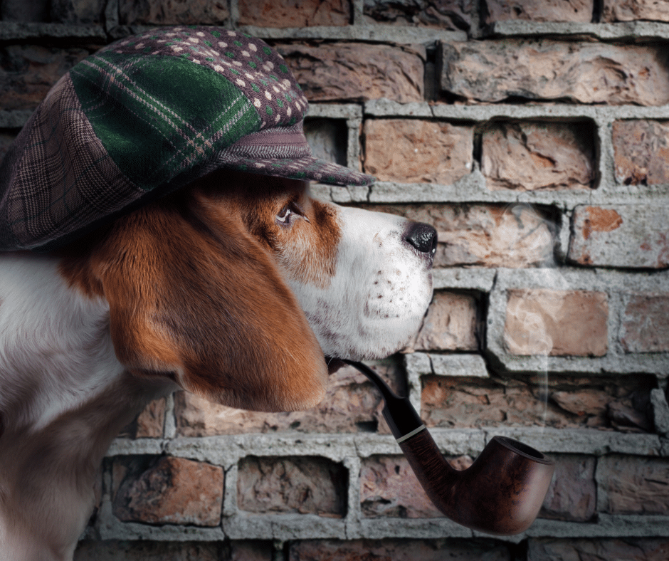 Ein Hund trägt einen karierten Hut und hält eine Pfeife im Maul, während er vor einer Backsteinmauer steht. Wenn Sie auf der Suche nach professionellem mobilem Hundetraining oder einem Hundetrainer vor Ort in Deutschland sind, sind Sie bei uns genau richtig!